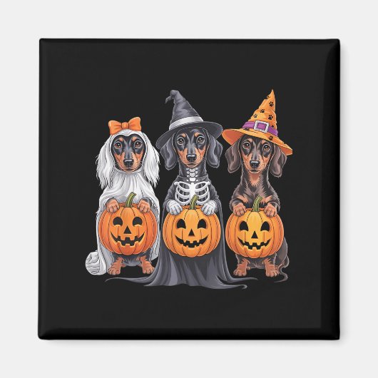 Funny Dachshund Halloween Pumpkin Weenie Dog Skele マグネット (正面)