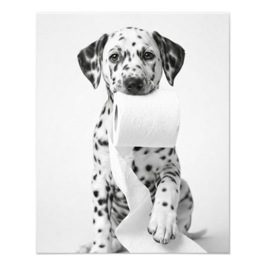 Funny Dalmatian Puppy Holding Toilet Paper Minimal フォトプリント (正面)