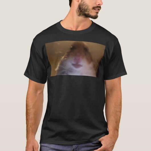 Funny Dank Meme Hamster Staring Front Camera Inter Tシャツ (正面)
