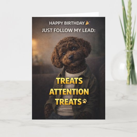 Funny Dog Birthday Card Treats Attention Cockapoo カード (正面)