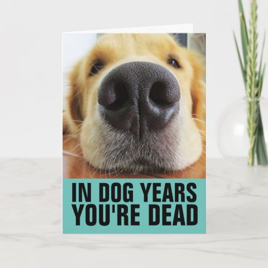 FUNNY DOG BIRTHDAY, DOG YEARS YOU'RE DEAD 挨拶 カード (正面)