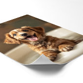 Funny dog in bathroom ポスター (角)