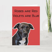 Funny Dog Lovers Valentine's Day Card カード (正面)