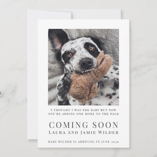 Funny dog Photo Coming Soon 案内状 (正面)