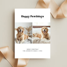 Funny Dog Photo Golden Retriever Pawlidays Pet