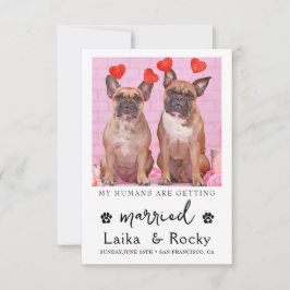 Funny Dog Wedding Invitation セーブザデート