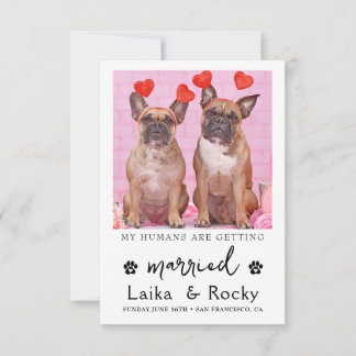 Funny Dog Wedding Invitation セーブザデート