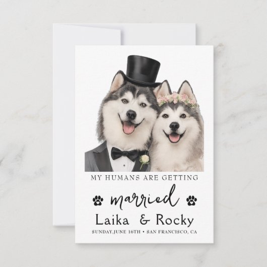 Funny Dog Wedding Invitation セーブザデート (正面)