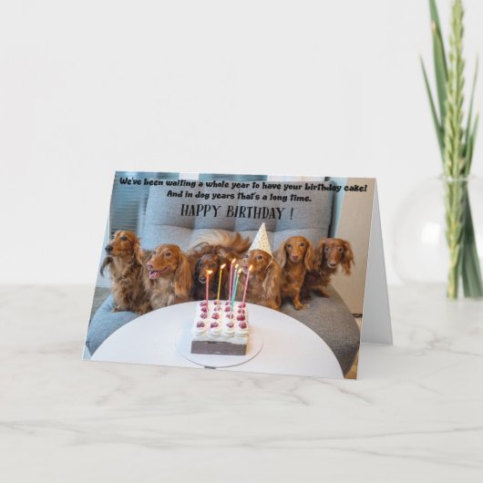 Funny Dogs Birthday Greeting Card  カード (正面)
