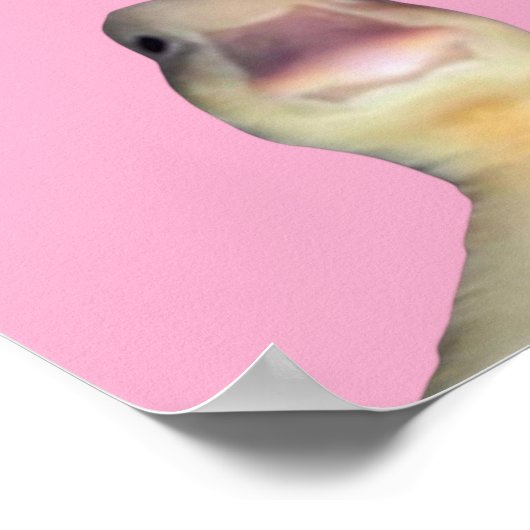 Funny Duck Meme – “Welcome to My Crib” Cute Animal ポスター (角)