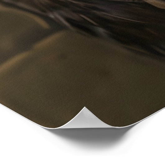 Funny Emu Bathroom Print, Newspaper Reading Animal ポスター (角)