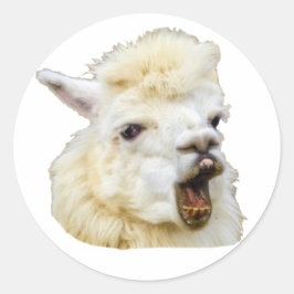 Funny face lachendes Alpaka Crazy Lama Zähne ラウンドシール