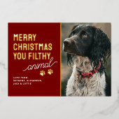 Funny Filthy Animal Pet Christmas 箔シーズンカード (正面)