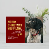 Funny Filthy Animal Pet Christmas 箔シーズンカード (立ち正面)