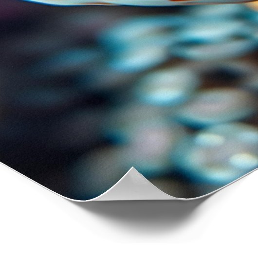 Funny Fish and Coral Close  ポスター (角)