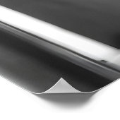 Funny Fox Bathroom Print, Reading Newspaper ポスター (角)