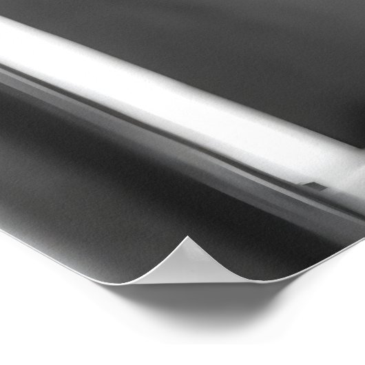 Funny Fox Bathroom Print, Reading Newspaper ポスター (角)