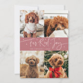 Funny Fur Real Joy Dog Photo Pink Christmas シーズンカード (正面)