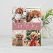 Funny Fur Real Joy Dog Photo Pink Christmas シーズンカード (スタンド正面)