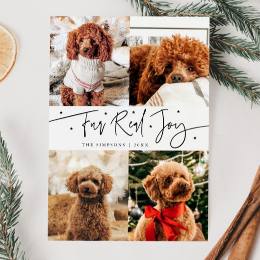 Funny Fur Real Joy Dog Photo White Christmas  シーズンカード