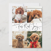 Funny Fur Real Joy Dog Photo White Christmas  シーズンカード (正面)