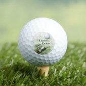 Funny Golf Balls Gift for Beginners ゴルフボール (インサイチュ 木)