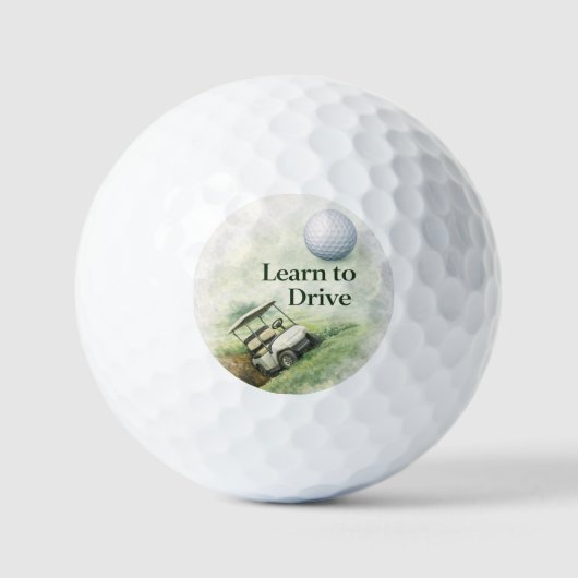 Funny Golf Balls Gift for Beginners ゴルフボール (正面)