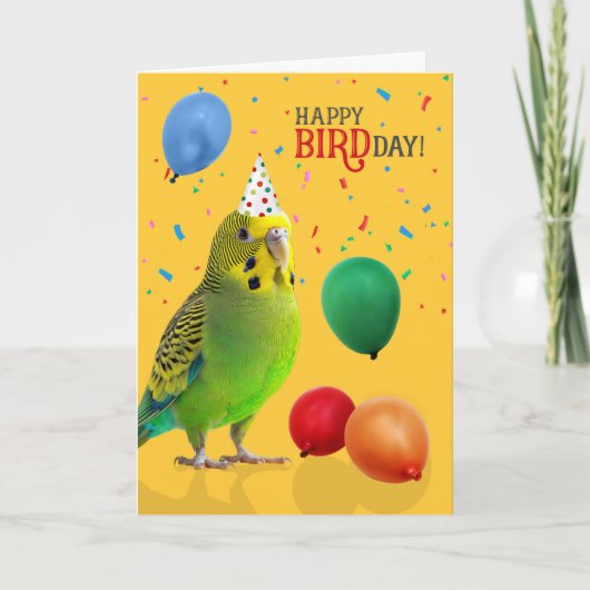 Funny Green and Yellow Budgie Parakeet Birthday カード (正面)