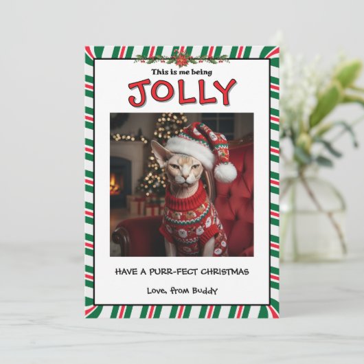 Funny Grumpy Sphynx Cat in Sweater Custom シーズンカード (スタンド正面)