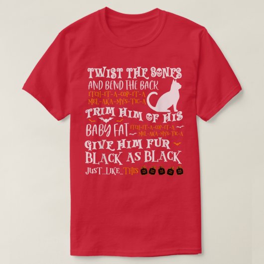 Funny Halloween Scary Black Cat Jackolantern Witch Tシャツ (デザイン正面)
