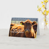 Funny Happy Birthday Country Farm Mail Farm Tales  カード (黄色い花)