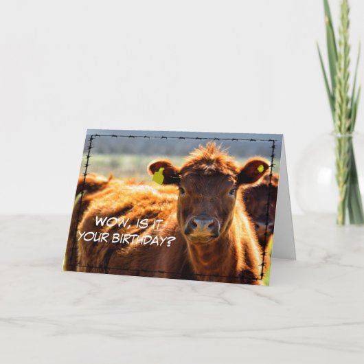 Funny Happy Birthday Country Farm Mail Farm Tales  カード (正面)