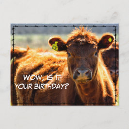 Funny Happy Birthday Country Farm Mail Farm Tales  シーズンポストカード