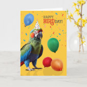 Funny Harlequin Macaw Parrot Birthday カード (黄色い花)