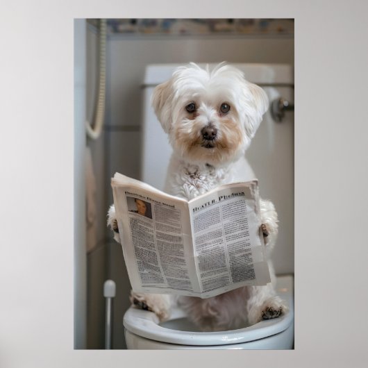 Funny Havanese Dog Print, Bathroom Newspaper Art ポスター (正面)