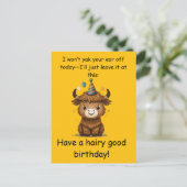 Funny Highland Yak: Hairy Good Birthday Puns ポストカード (スタンド正面)