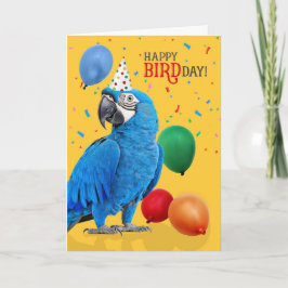 Funny Hyacinth Macaw Parrot Birthday Humor カード