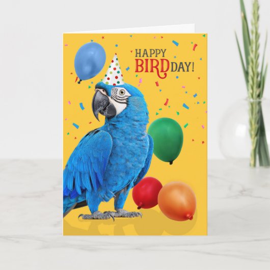 Funny Hyacinth Macaw Parrot Birthday Humor カード (正面)