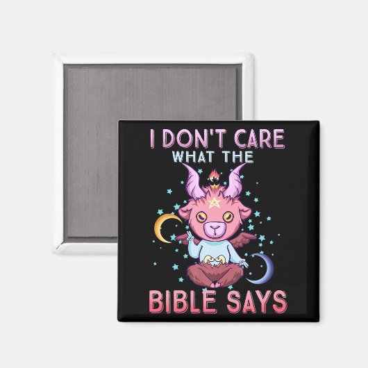 Funny I Dont Care What Bible Says  マグネット (正面/裏面)