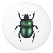 Funny Insect セラミックノブ (正面)