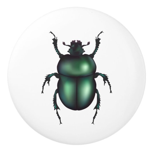 Funny Insect  セラミックノブ (正面)