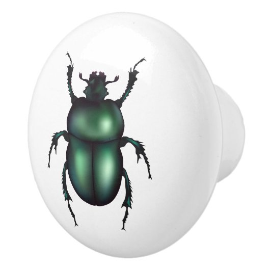 Funny Insect セラミックノブ (右)