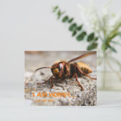 Funny insect hornet slogan postcard ポストカード (スタンド正面)