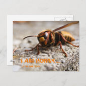 Funny insect hornet slogan postcard ポストカード (正面/裏面)
