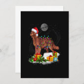 Funny Irish Setter Dog Christmas Lights Santa Hat  招待状 (正面/裏面)