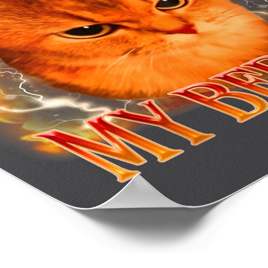 Funny It's Past My Bedtime Cat Meme Animals Humor  ポスター (角)