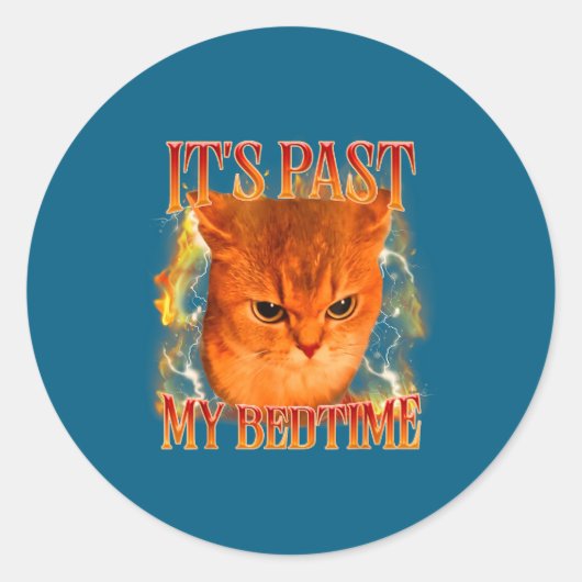 Funny It's Past My Bedtime Cat Meme Animals Humor ラウンドシール (正面)