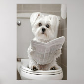 Funny Maltese Dog Bathroom Print, Newspaper Art ポスター (正面)