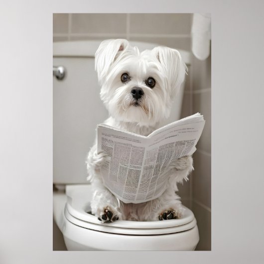 Funny Maltese Dog Bathroom Print, Newspaper Art ポスター (正面)
