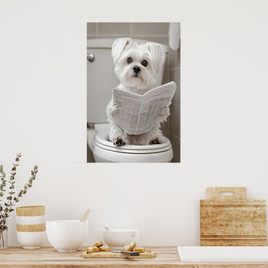 Funny Maltese Dog Bathroom Print, Newspaper Art ポスター (キッチン)